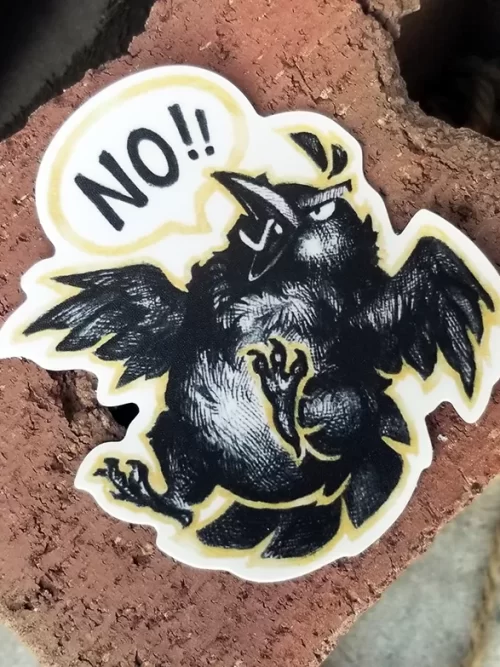 Fat Raven Screaming NO!